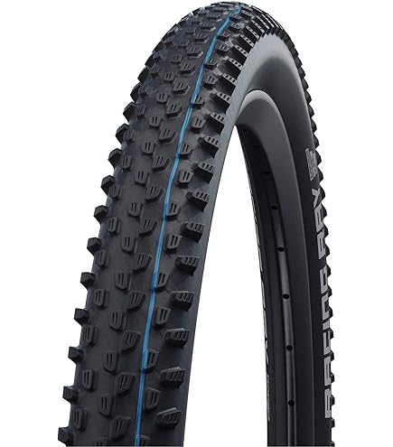 Amazon | 【正規品】レーシングラルフ 27.5x2.25 ケブラービード