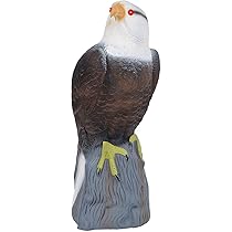 7108YowtokL._AC_UL210_SR210,