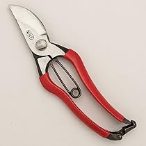 7109CuZ4YyL._AC_UL210_SR210,