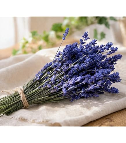 ブルーロータス ドライフラワー 有機栽培140g (10g ¥600 換算) Amazon｜MAGIC BLUE LOTUS 10g マジックブルーロータス｜ドライ