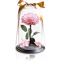 Desert Rose 本体 No.833 Fluffy Cherry フリルティアードジャンパースカート