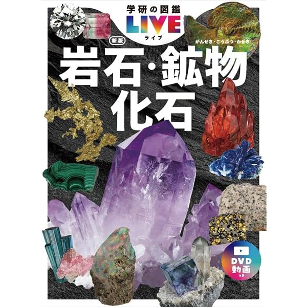 ときめく化石図鑑 (Book for Discovery) | 土屋 香, 土屋 健 |本