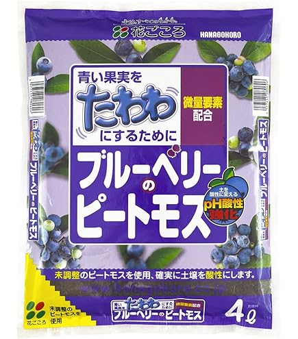 専用　ブルーベリー他 生食専用ブルーベリー 「ブルーマリヤ」｜エザワフルーツランド