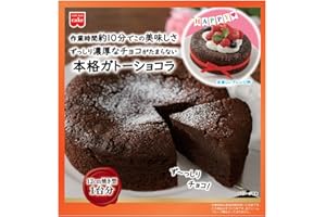ホームメイド 共立食品 本格ガトーショコラキット 170g