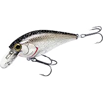 Amazon | ラッキークラフトUSA(LUCKY CRAFT)FAT CB BDS マジック2.2