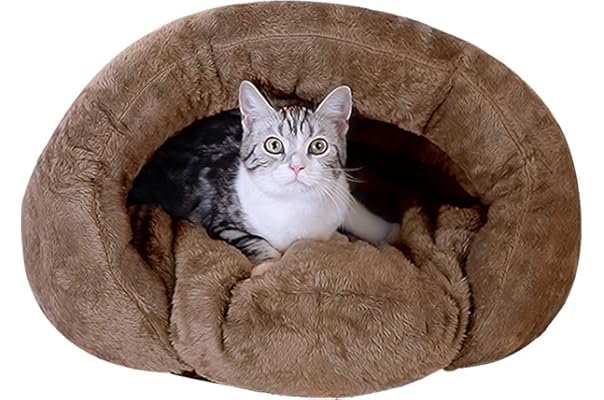 dome cat bed