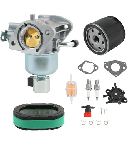 Filtro Olio Caballero 500 Carburatore Completo Per Motori Kohler - Foto 5