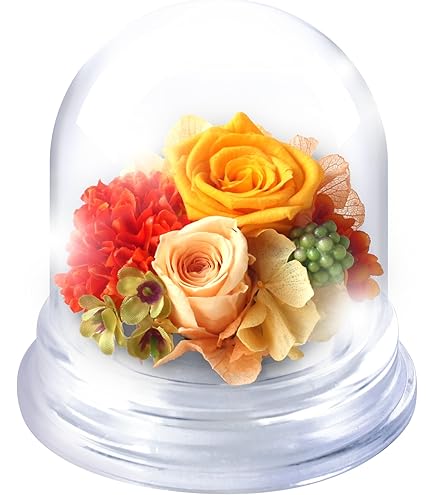 Amazon｜【母の日】 ニコライバーグマン Nicolai Bergmann Bloom