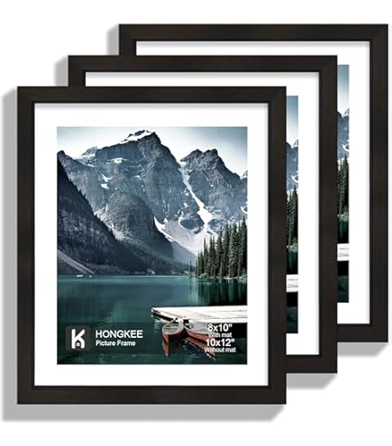 Amazon.co.jp: Picrit 10x12インチ 写真フレーム 12枚セット