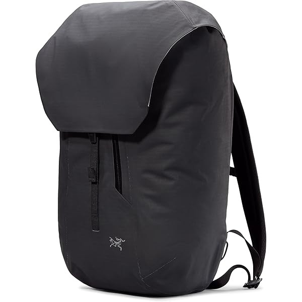 Amazon.co.jp: ARC`TERYX(アークテリクス) グランヴィル 20 バック
