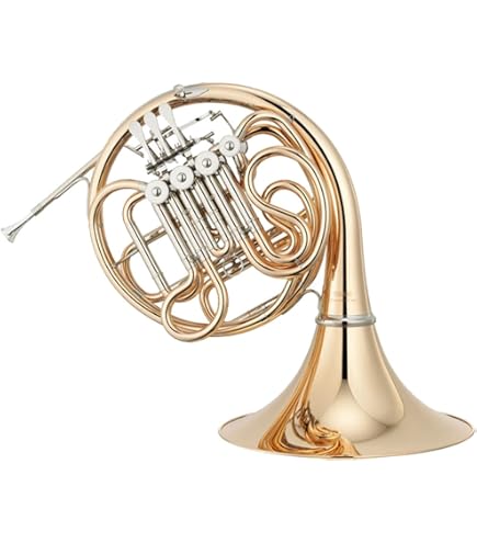 Amazon.co.jp: PLAYTECH (プレイテック) フレンチホルン フレンチ