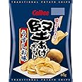 カルビー 堅あげポテト うすしお味 65g×12袋