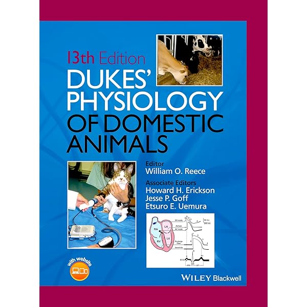Amazon | Veterinary Anatomy of Domestic Animals: Textbook and