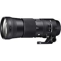 Amazon.co.jp: シグマ(Sigma) レンズ 150-600mm F5-6.3 DG OS
