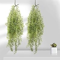 Cherrytree フェイクグリーン インテリア 造花葉物 ハンギングブッシュ スパニッシュモス 苔 2点セット入り