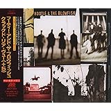 クラックド・リア・ビュー+5