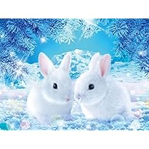 雪うさぎ 5 雪うさぎ 5個入 - 風月フーズのオンラインショップ