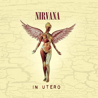 US盤オリジ NIRVANA FROM THE MUDDY BANKS OF US盤オリジ NIRVANA FROM THE MUDDY BANKS OF Nirvana - From the