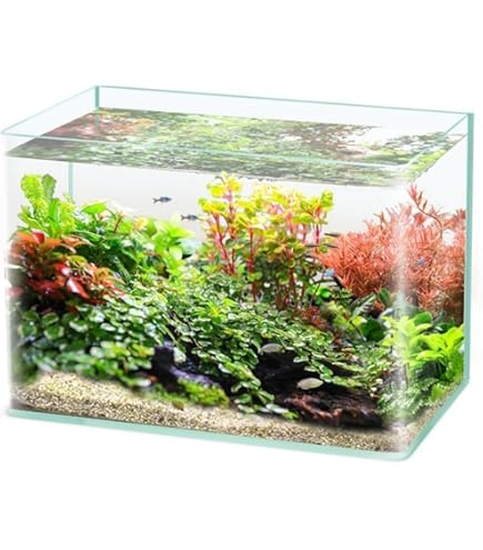 【未開封品】ルノアール 600 水槽　60cm幅 訳あり品 未開封品】ルノアール 600 水槽 60cm幅 訳あり品 楽天市場】【訳