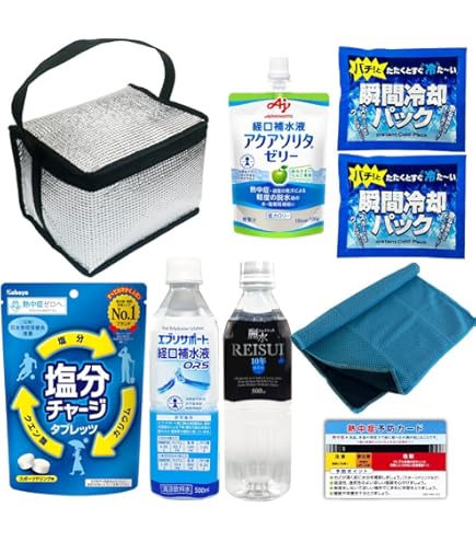 熱中症対策用 Y'sgod 3点セット Amazon.co.jp: [TAKAHASHI HONSHA] Y'sGOD(ワイズゴッド) 水冷