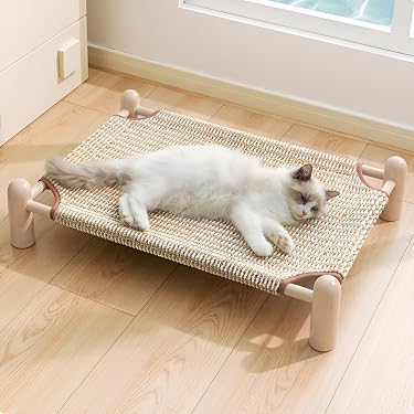 Amazon.co.jp 最新リリース: 犬用ベッド・クッション の新着ランキング