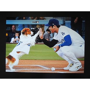 Amazon.co.jp 売れ筋ランキング: ポスター(野球チーム・ファングッズ