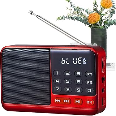 クライマックス優勝おめでとうございますセール！AM.FMポータブルラジオ 特典CL付】新品 FMラジオ付きポータブルCDプレーヤー / (雑貨