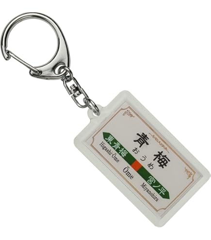 Amazon | JR東日本 信越本線 「長野」 キーホルダー 電車グッズ | 鉄道