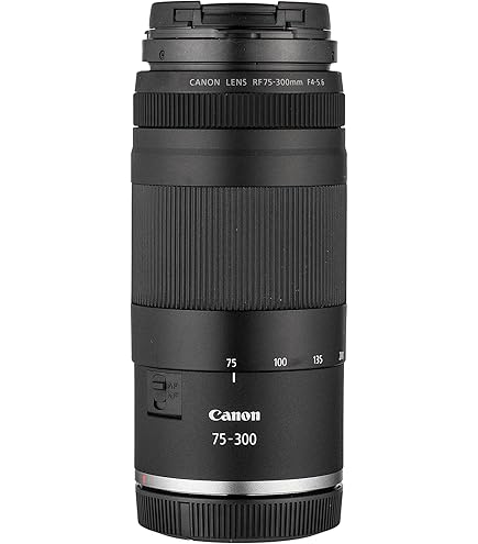 （ロン） CANONズームレンズRF100-400mm F5-6.8 IS RFレンズ RF100-400mm F5.6-8 IS USM：通販｜キヤノンオンラインショップ
