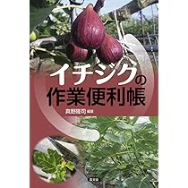 イチジク: 栽培から加工・売り方まで (新特産シリーズ) | 株本 暉久