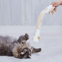 710ntdnmrYL._AC_UL210_SR210,