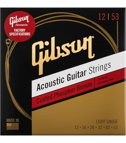 Amazon.co.jp: Gibson/SAG-BRW12 80/20 Bronze Acoustic Guitar