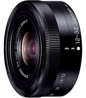 PANASONIC DMC-GF1 ブラック　ボディ　送料無料 Amazon Canada: Panasonic DMC-GF1 Black Body Only