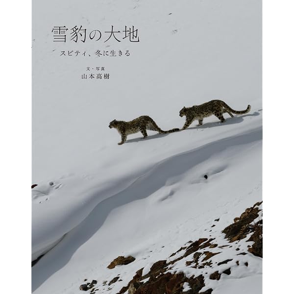 株式会社ラーテルハート 神の獣 雪豹 ―The Eidolon, Snow Leopard