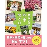 柴犬まるの四季めぐり
