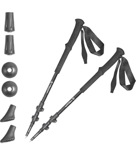 MSR TWING トレッキングポール2本付き MSR (エムエスアール) シェルター TWIN SISITERS オレンジ 約