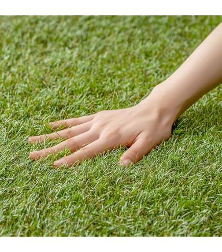 Amazon | カインズ(CAINZ) リアル人工芝用下敷きパネル 50×50cm