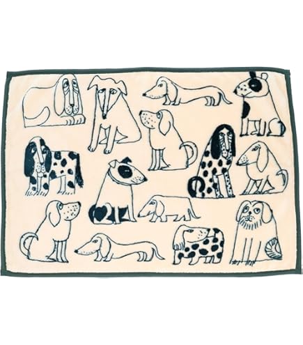 Invel ブランケットプラスエム(大) ブルー Amazon｜アライヴン ブランケット プラス エム（大） ブルー