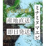 Amazon ミナミヌマエビ 0匹 期間限定品 エビ メダカ 生餌 ミジンコ 水草 ノーブランド品 観賞魚 水中生物 通販
