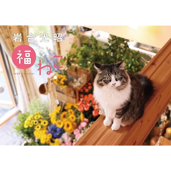 S13】 ねこ日和 2026 Cat Calendar (永岡書店のカレンダー) | 岩合光昭