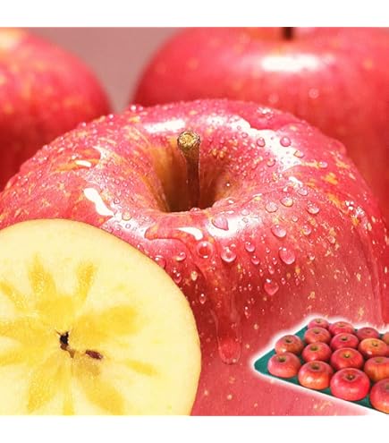 Amazon.co.jp: 青森 りんご 10kg箱 きみと ご家庭用/訳あり 林檎 10