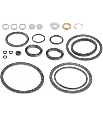 Amazon.co.jp: La Pavoni - 完全交換用ガスケットセット - リビルド