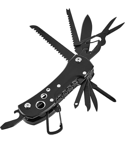 Amazon.co.jp: スイスバック SwissBuck 87551D スイスメイトI 