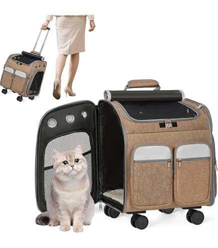 Amazon.co.jp: CoConte cat リュックサックキャリー オレンジ : ペット用品
