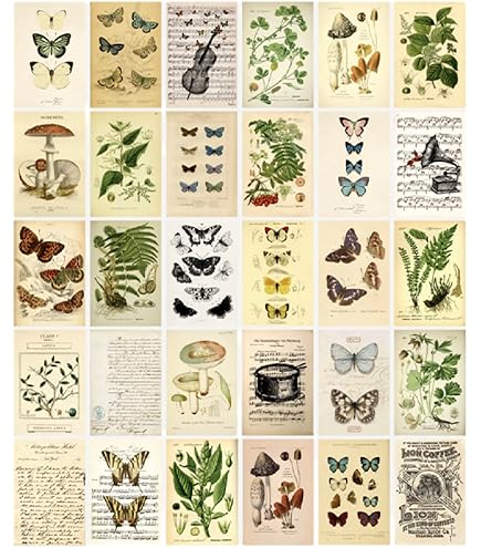 Amazon.co.jp: プラスメイト リアルインセンティブ 榊木庵 婚姻届