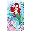 リトル・マーメイド Ariel ディズニー - リトル・マーメイド Ariel XFVGA(480×854)壁紙 71095