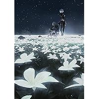 NieR Orchestra Concert 12018 [Blu-ray]