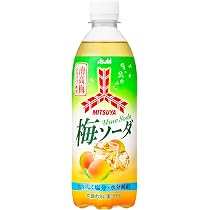 Amazon.co.jp: 艶 二液性エポキシクラフトレジン液 【ハード】 本剤