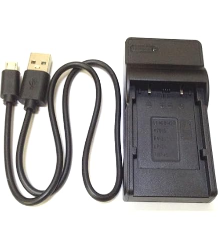 Vhbw Stazione Di Carica Per Fuji FinePix Z31, Z33, Z35, Z37, Z70, Z700EXR – Con Cavo Auto 12V E Spina Euro, Ricarica Sicura