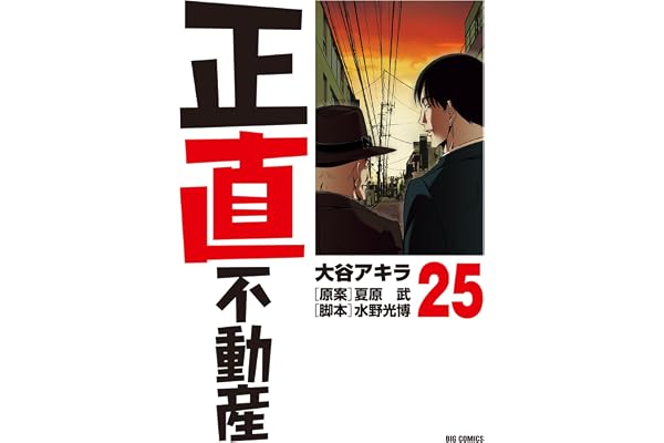 正直不動産（２５） (ビッグコミックス)